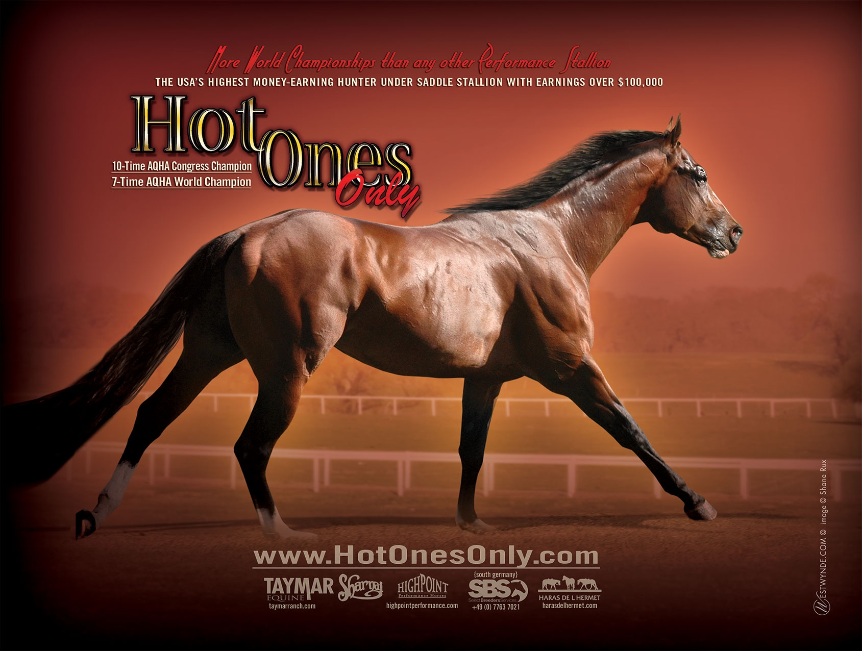 Hot Ones Only